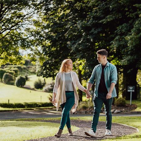 Millbrook Lodge Ballynahinch Zewnętrze zdjęcie
